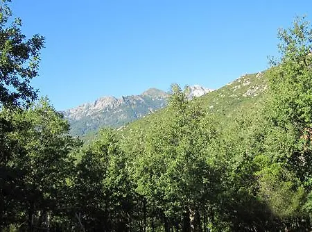 Chalet De Caralba Avec Piscine Ghisoni