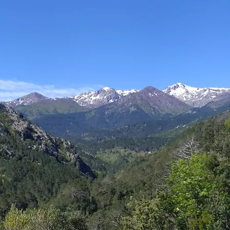 Chalet De Caralba Avec Piscine Chalé Ghisoni